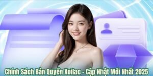 Chính sách bản quyền