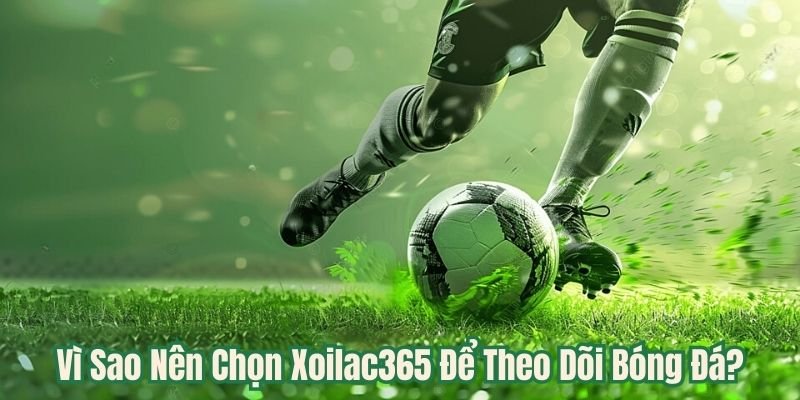 Vì Sao Nên Chọn Xoilac365 Để Theo Dõi Bóng Đá?